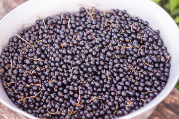 Fresh black currant berries. Healthy summer food. 