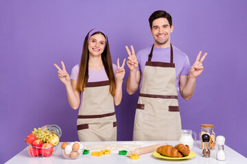 Photo of two positive funny partners hands fingers show v-sign isolated on violet color background