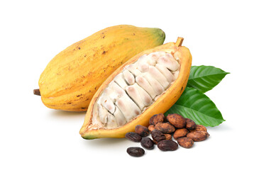 Yellow cocoa pods with half sliced and beans isolated on white background.