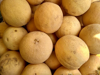 Muskmelon melons, Cantaloupe Melon selling in market fruits background 