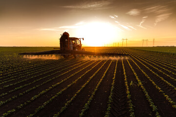 Fototapeta premium Tractor spraying soybean field at spring