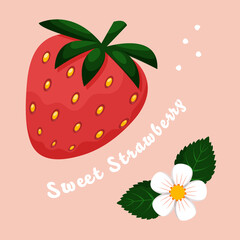 Sweet Strawberry isolated with flower, leaves and text. Banner, poster, print. Flat cartoon style vector illustration.
