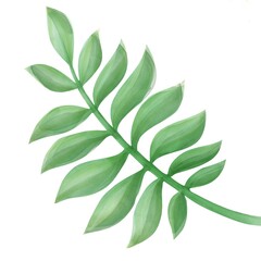 palm leaf, tree green plant, floral illustration, botnical drawing,  tropical jungle element, 