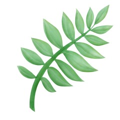 floral illustration, palm leaf, tree green plant, botnical drawing,  tropical jungle element, 