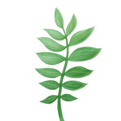 palm leaf,   tropical jungle element, floral illustration, tree green plant, botnical drawing,