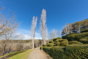 Beautiful morning light in public park with green grass field and manicured hedges along the walking path.