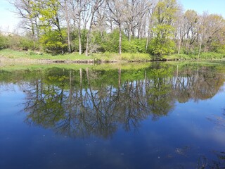 lake in the park