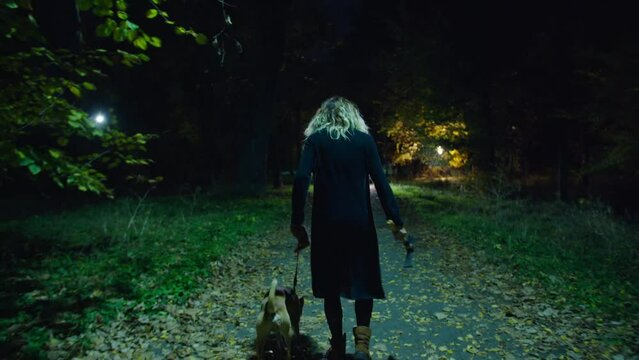 cinematic shot, creepy zombie woman with dog and hammer walks in the night park. horror. halloween. real evil.