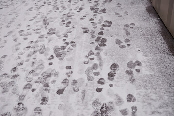 Neige - traces de pas