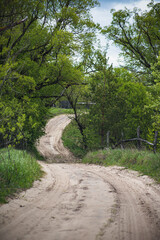 Photo landscape rural dirt road in the forest