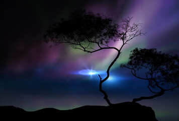 Aurora Borealis on starry sky northern nature nebula and trees birds moon  stones silhouette cosmic starry background