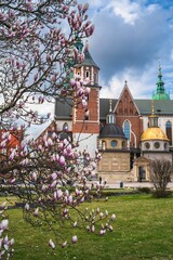 Zamek Królewski na Wawelu w Krakowie na wiosnę © Michal45