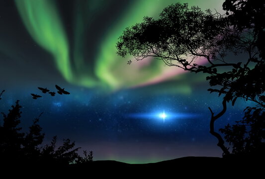 Aurora Borealis on starry sky northern nature nebula and trees birds moon  stones silhouette cosmic starry background