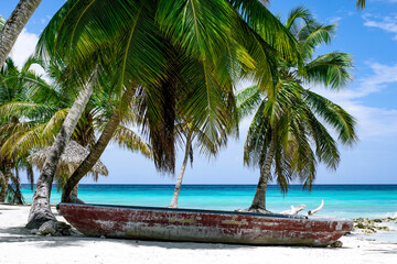 Beach with palm trees and boat