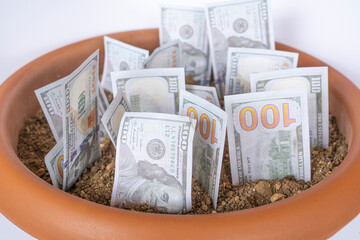 Dollar banknotes growing from the ground, earning money from agriculture concept, USA dollars on a flowerpot with soil, money tree idea, isolated with white background, sitting view - Powered by Adobe