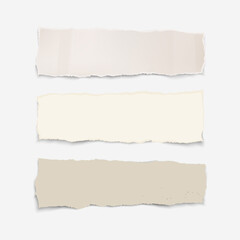 Paper color horizontal torn banners on transparent background.  