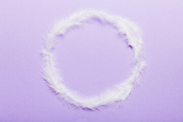 Frame of brightly colored dyed bird feathers on Colored background, top view