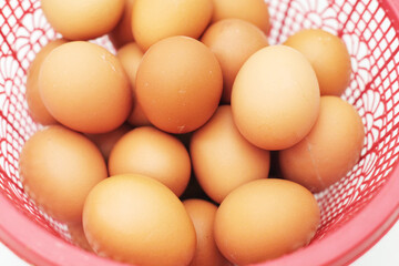 Eggs in a basket - Eggs isolated on a white background