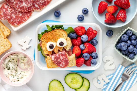 School lunch box with a cute monster sandwich with salami and fresh berries like strawberries and blueberries. Overhead view flat lay