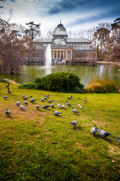 El Palacio de Cristal in the Retiro Park in Madrid, Spain.