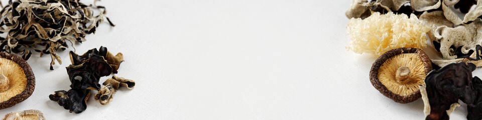 Different species of Asian dry fungi banner with copy space. Assortment of dried mushrooms. © Fotema