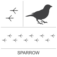 Silhouette and footprints of a sparrow. Vector illustration.