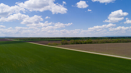 Horizon, blue sky, white clouds, spring, agriculture