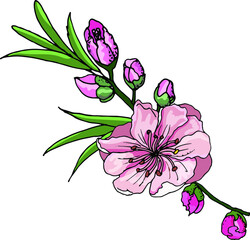 A branch with flower buds and a blooming peach flower elements