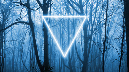A magical triangle portal. Glowing and floating In a mysterious, foggy, winter forest. © Dave