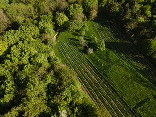 aerial drone flight over green meadows and forest in lower austria