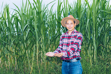 An Asian farmer in a plaid shirt stands in a field.