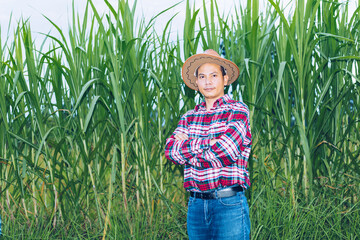 An Asian farmer in a plaid shirt stands in a field.