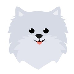 Dog spitz head icons.Vector illustration in flat stile