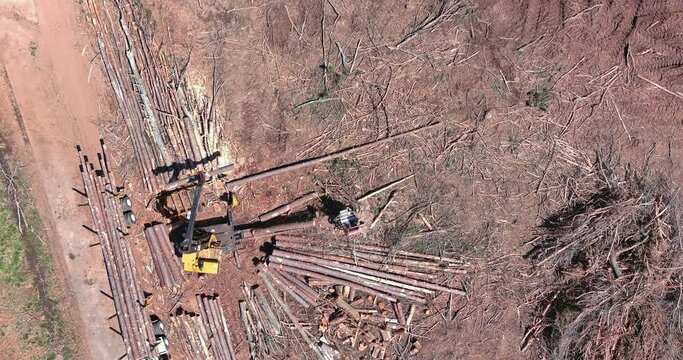 Aerial view on tree removal crane operator loading logs to truck for new construction plase