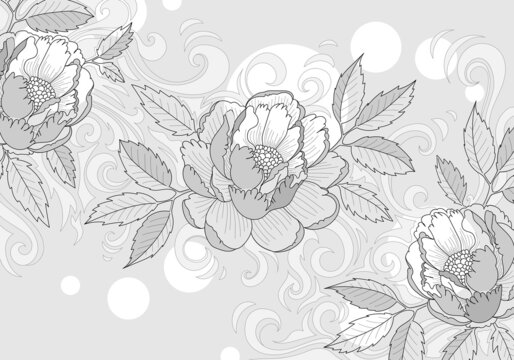 Black and white vintage pattern. beautiful monochrome black and white background. peonies with leaves and bud.
Spring flowers bouquet of contour style flower garland. Label with peony flowers.