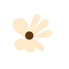 daisy flower shapes