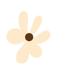 daisy flower shapes