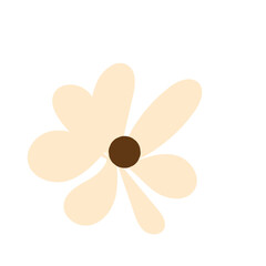 daisy flower shapes