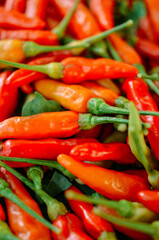 red hot chili close up