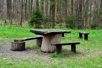 A close up on a wooden table made out of a big log and some planks surrounded with some wooden seats that have been made manually seen in the middle of a dense forest or moor in spring