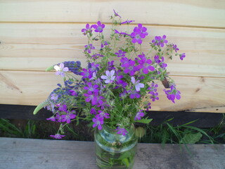 Fototapeta na wymiar purple flowers in a glass jar on a wooden wall background