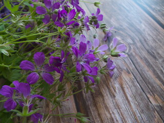 purple flowers on brown wooden floor background