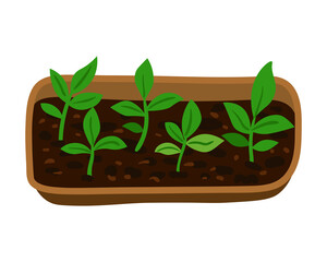  Illustration of container with green seedlings with leaves. Plant growing in a greenhouse