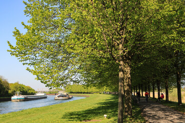 Frühling am Datteln-Hamm-Kanal in Lünen