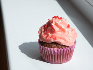 Cupcake on white with a cap of cream and confectionery colored sprinkles, hard shadow, top view