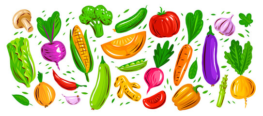 Organic fresh vegetables and root crops vector illustration. Farm food set