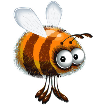 Fluffy Bee Funny Cartoon Character Vector illustration isolated on White