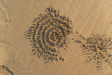 Sand bubbler crab patterns in the sand in Thailand. 