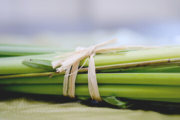 Tiges vertes nou&eacute;es - lien de raphia