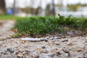 Smoking cigarette butt on the grass closeup